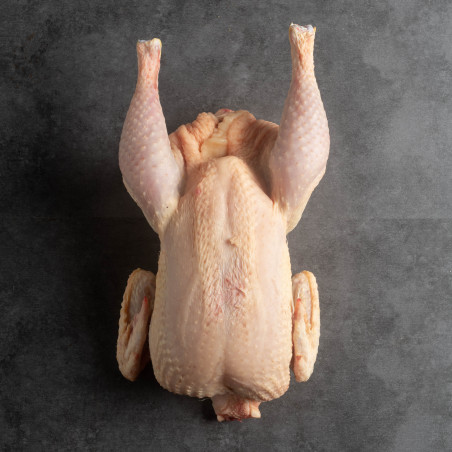 Buy 100% Organic Whole Clean Chicken
