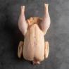 Comprar Pollo 100% Ecológico Entero Limpio