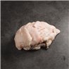 Grasa de pollo ecológico